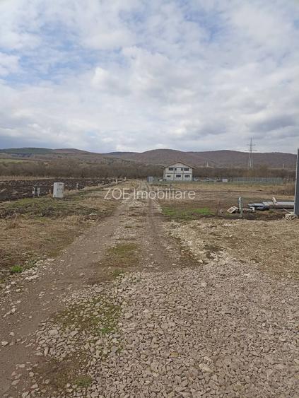 De vânzare complex imobiliar în Sfântu Gheorghe - 7