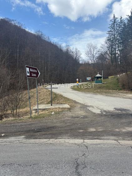 VANZARE PADURE MANECIU -CHEIA,  40HA - 6