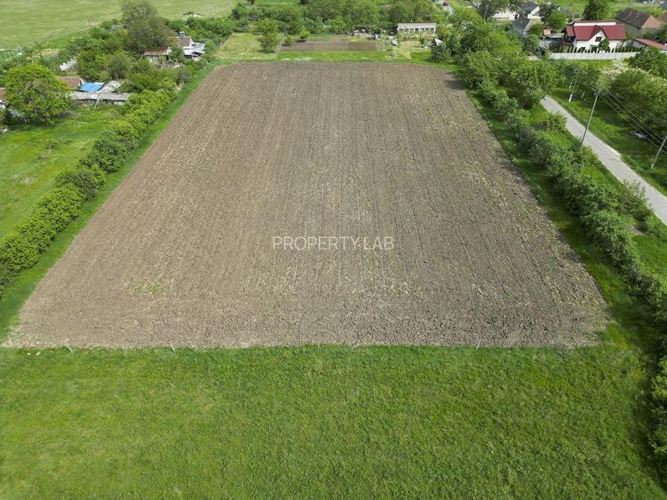 Teren Intravilan de 3,090 mp în Cuvin - 19