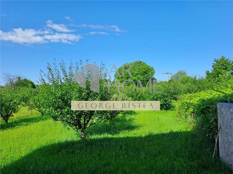 Casa + anexe 2756 mp teren Baicoi zona Tufeni - 6