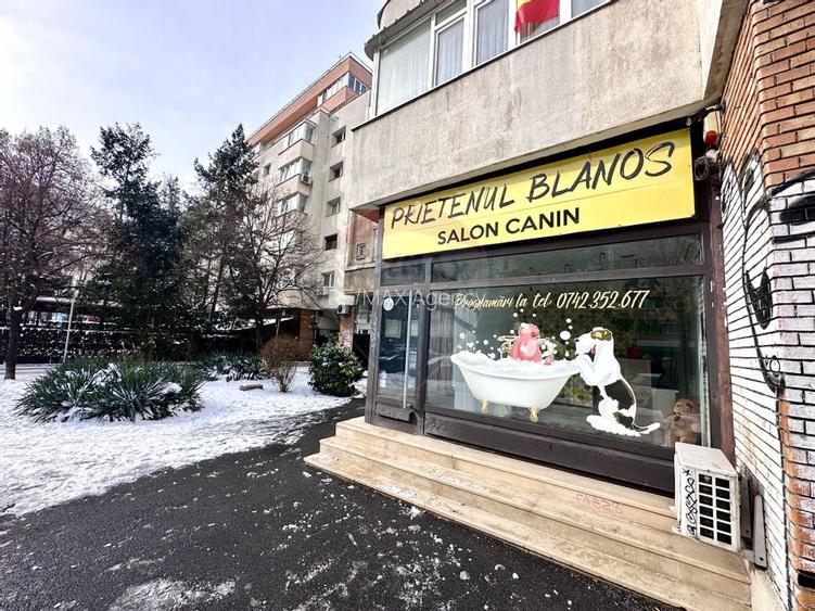 Spațiu comercial de închiriat – Calea Moșilor nr. 199, Sector 2 - 2