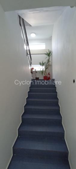 Vanzare spatiu productie 800 mp  D+P+Et1+M zona Rahova Bucuresti sector 5 - 19