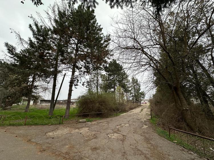 Teren intravilan Mogosesti | Giurgiu | 370.000mp | Adunatii Copaceni - 4