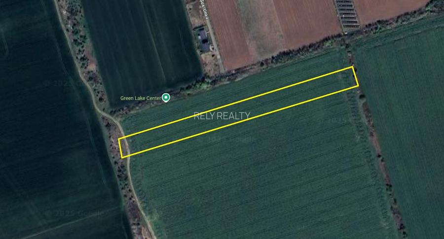 Teren Caciulati / 10.000 mp / D: 28 m / comision 0% - 4