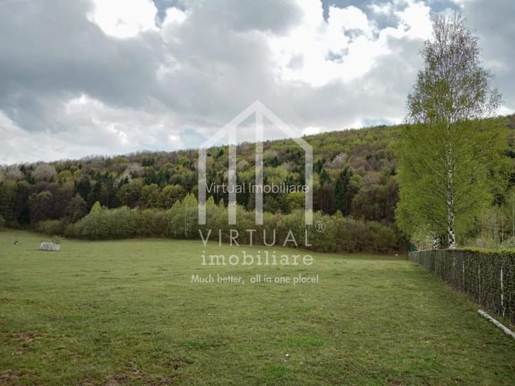 Teren intravilan de vanzare in Tocile, 3862 mp, priveliste spre padure - 8