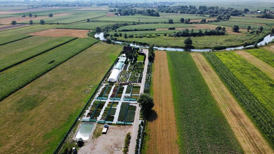 Domeniu privat pe malul lacului – 12.500 mp – Natura Parc – Ideal Resort / HoReC - 3