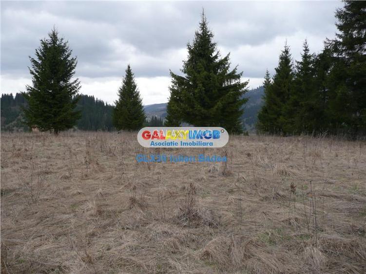 Teren pentru Complex Turistic - 12 730 mp  - Vatra Dornei - 3