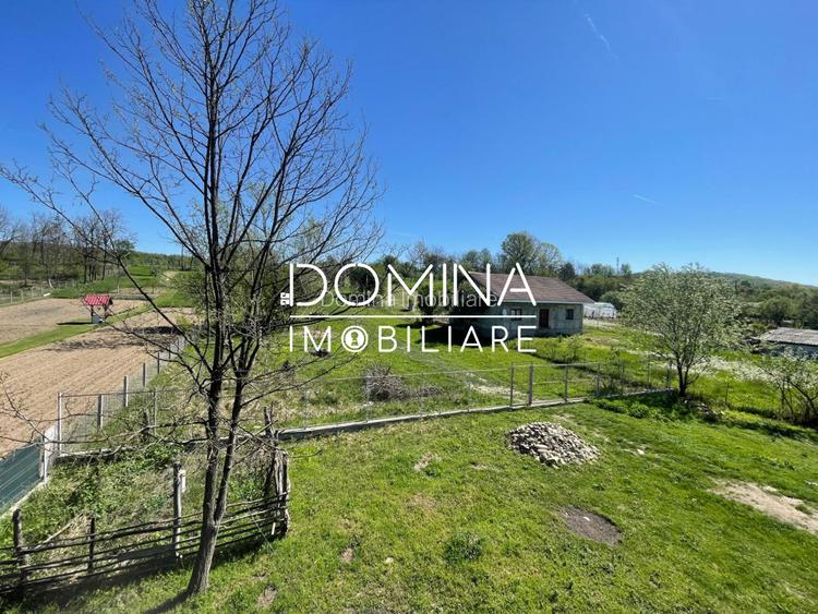 Vanzare casa P+1 *teren generos* - Sat Rasova - Balesti - 10