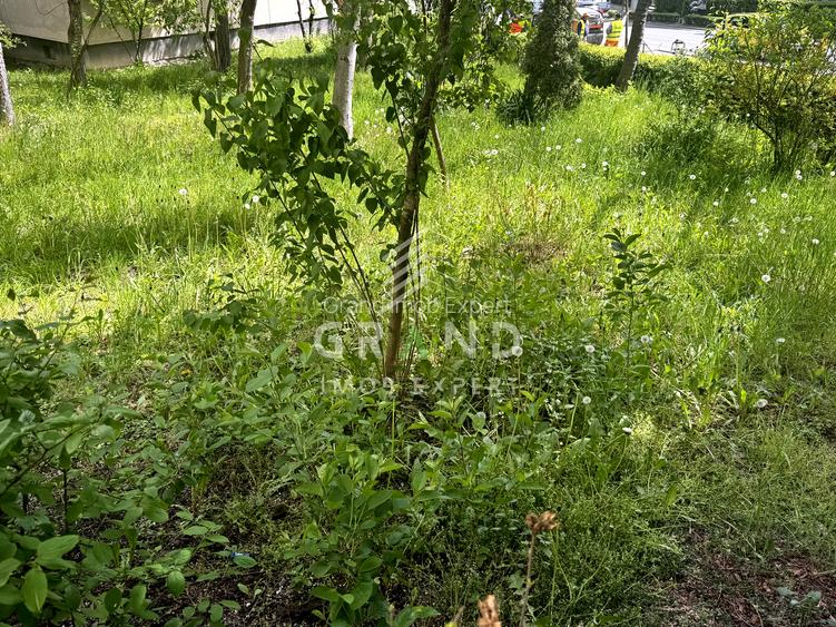3 Camere Decomandat | 2 Băi | 69 mp | Parter | Zorilor/P-ța Zorilor/Observatorul - 32