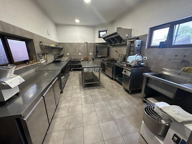 Casa 240 mp utili, 5000 mp teren + afacere la cheie, restaurant, zona Celaru - 11