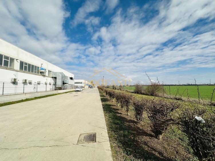 BG141-Teren-46.400 mp-Front 300 ml acces TIR | INCONTRO-Calea Sagului - 4