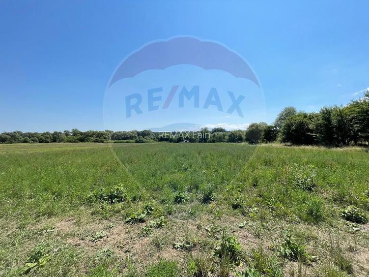 TEREN  INTRAVILAN  5000mp ORAS CISNADIE  STR. SELIMBARULUI - 2