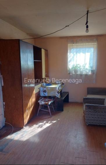 Casa Goruia cu teren,gradina,livada de pruni si pădure  - 2