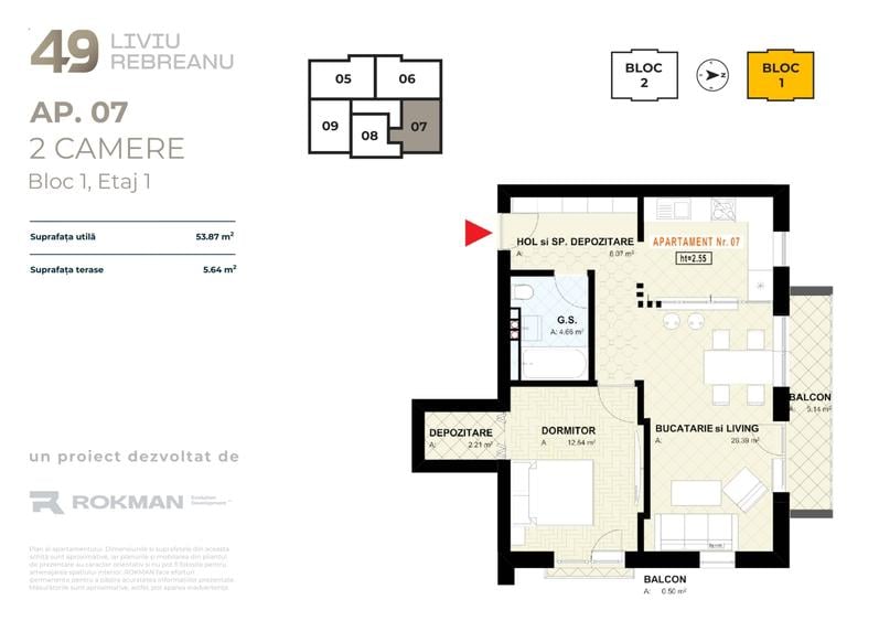 49 LIVIU REBREANU - 8