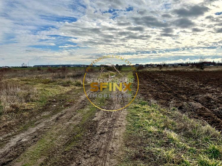 LOT de casa Tartasesti Primarie | teren cu potential - 4