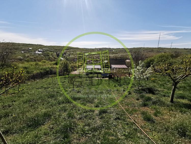 Teren intravilan si extravilan cu anexa gospodareasca amenajata, cu utilitati - 5