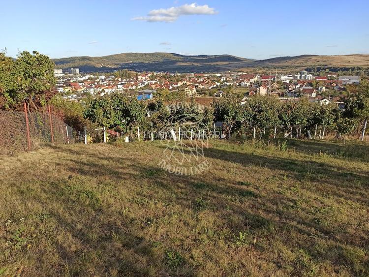 Teren intravilan 730 mp-livada-vedere panoramica-Valea Sigmirului - 3