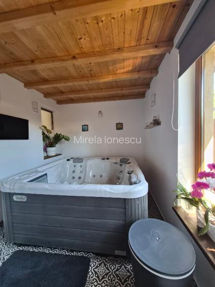 Proprietate cu 2 locuinte independente, spa privat, teren generos -Tunari Centru - 16