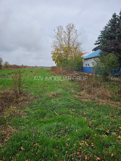 Butimanu (Decindea) Jud. Dambovita, teren intravilan si extravilan - 5