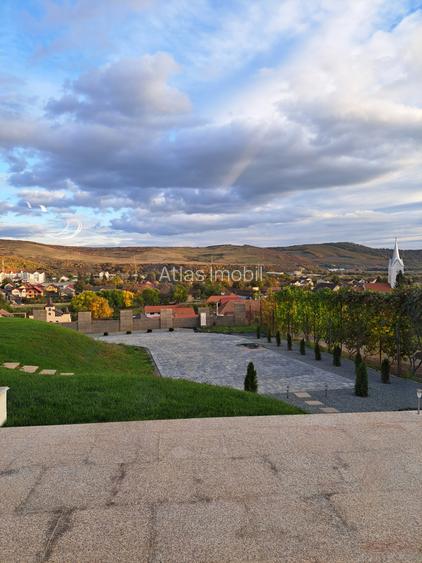 VILA NOUA,MODERNA CU 2100 METRI PATRATI TEREN-VIISOARA - 20