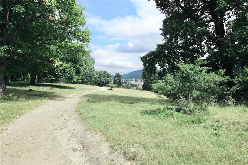 Teren de vanzare 4713 mp investitie | Poiana Brasov - 9