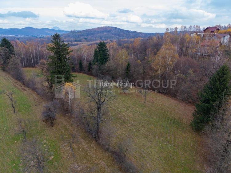 Teren intravilan, cu PUZ, Bran Tohanita,  SE ACCEPTĂ ȘI SCHIMB - 7