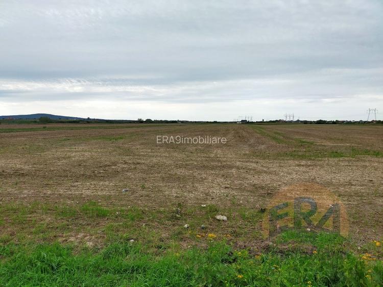 Teren Osorhei, Str. 610 - 2