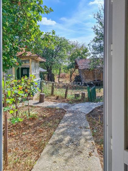 Teren intravilan 2100mp + casa + anexe 29.000 euro - 11