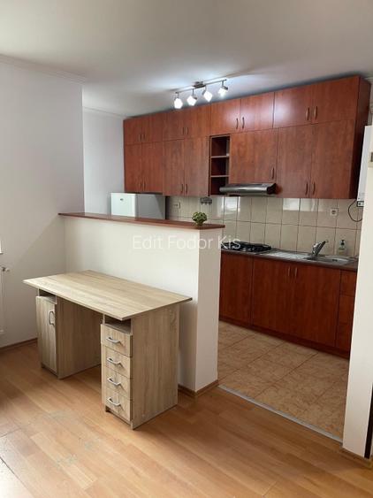 Studio renovat in Grigorescu, luminos, bloc nou, direct proprietar - 2