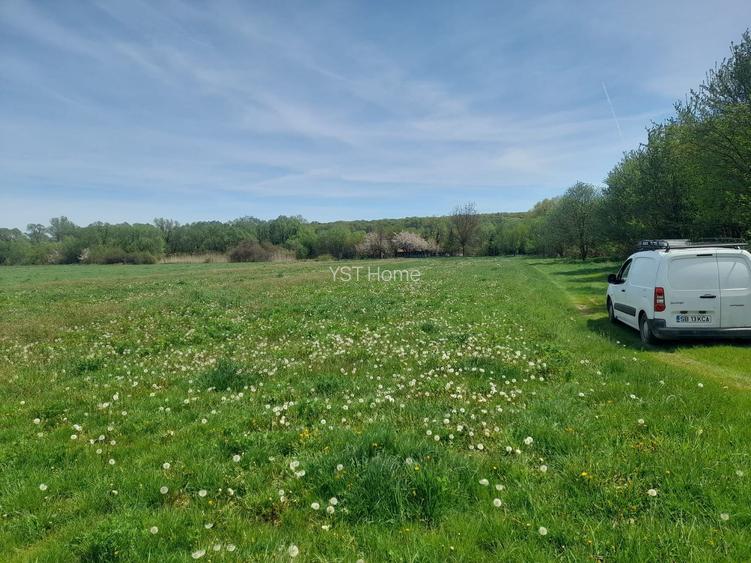 Teren de vanzare intravilan 5000 m2 Cisnadie zona SOMA - 5