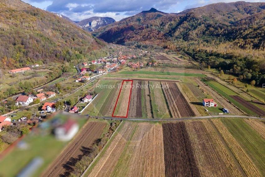Teren extravilan Petros /  Baru ,jud Hunedoara - 6