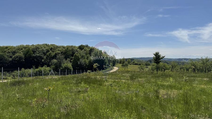 Teren intravilan de vanzare 55 600 mp Codru Butesii - 14