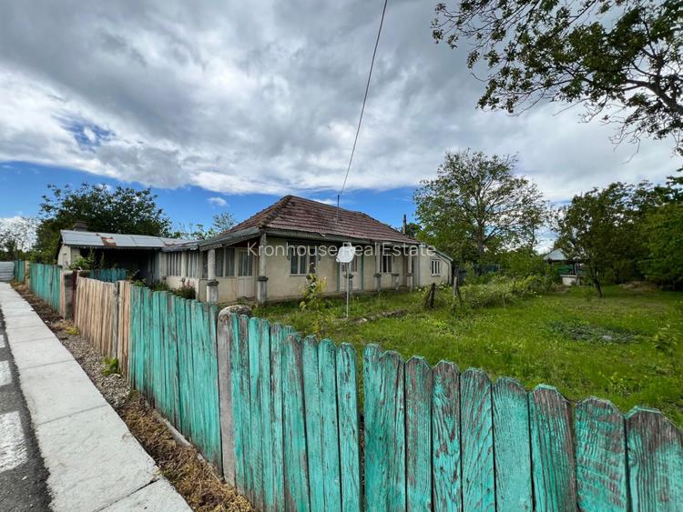 Casa + teren 4430 mp, vie si pomi fructiferi, 22 km de Tecuci - 2