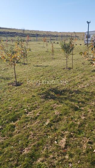 Teren extravilan 1000mp Centura nord - 3