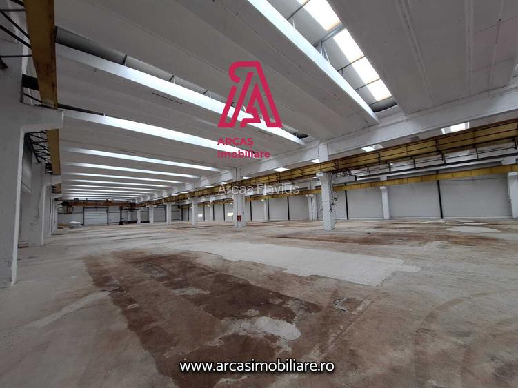 HALA DE INCHIRIAT-SPATIU INDUSTRIAL, 6857 MP-PARCUL INDUSTRIAL MARSA! - 5