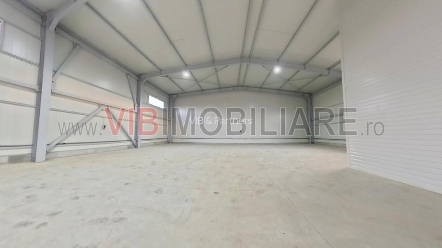 Chitila - str Dacia - hala 338mp - birouri 94mp -teren 1076mp - 10