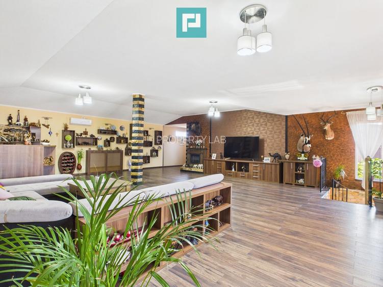 Pensiune la Orțișoara - 25