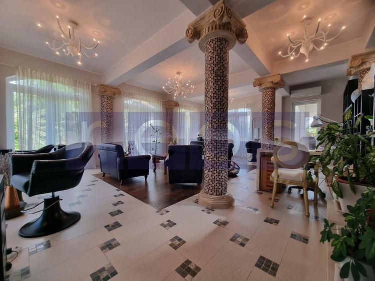 INCHIRIERE -2 VILE -ZONA MOGOSOAIA - 5