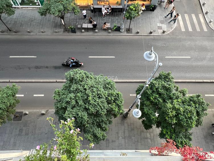 Calea Victoriei 128B, 2 camere - 5