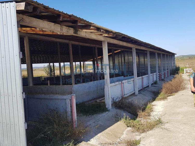 Ferma langa Oravita 5600 mp construiti si teren 24281 intravilan - 6