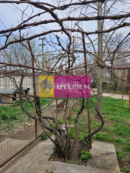 GIURGIU - COM. BUCSANI (SAT OBEDENI) CASA 2 CAM DE VANZARE - 17