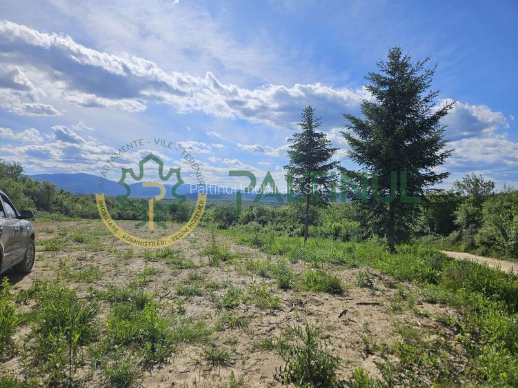 Teren 3.000 mp cu priveliște panoramică spre Munții Făgăraș - 6