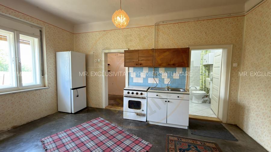 Casă 4 camere, Teren 1955 mp Str. Vezendiului Nr. 366 - Loc. Petrești, Satu Mare - 7