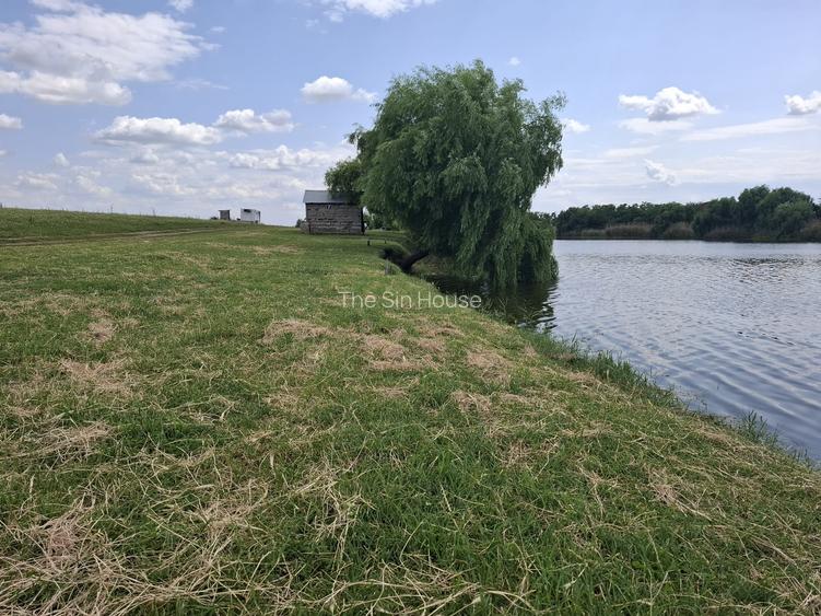 Închiriez Baltă de Pescuit – 12 Ha de Relaxare și Capturi - 11