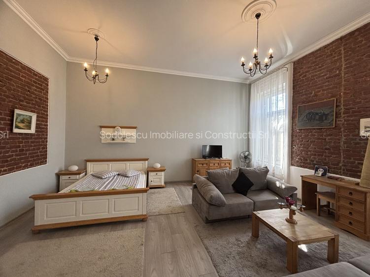 Apartament cu o camera în clădire istorică ,zona Maria - 26
