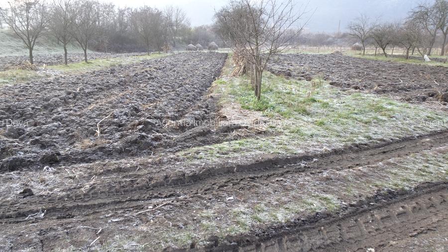 Vand casa curte si gradina in Branisca (la 15 Km de Municipiul Deva), - 4