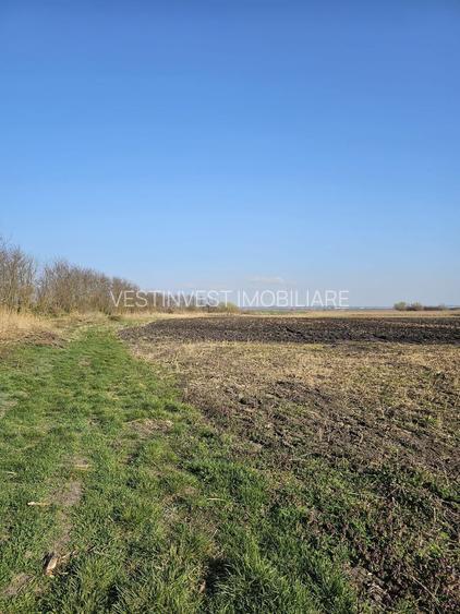 Teren extravilan pentru balastiera Biharia - 5