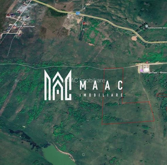 Teren 6,75 ha | Panoramă și Acces Excelent | Dealul Daii - 8