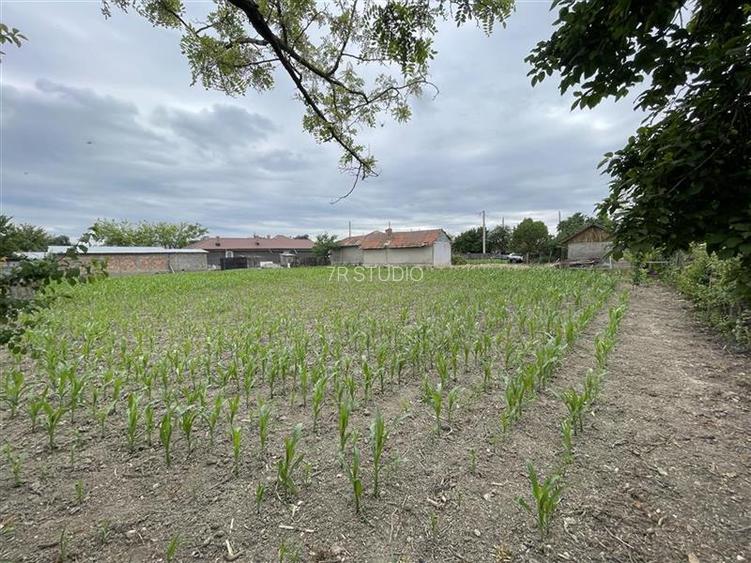 Vânzare Teren intravilan 1700mp  50km de Bucuresti Cosereni Ialomita - 5