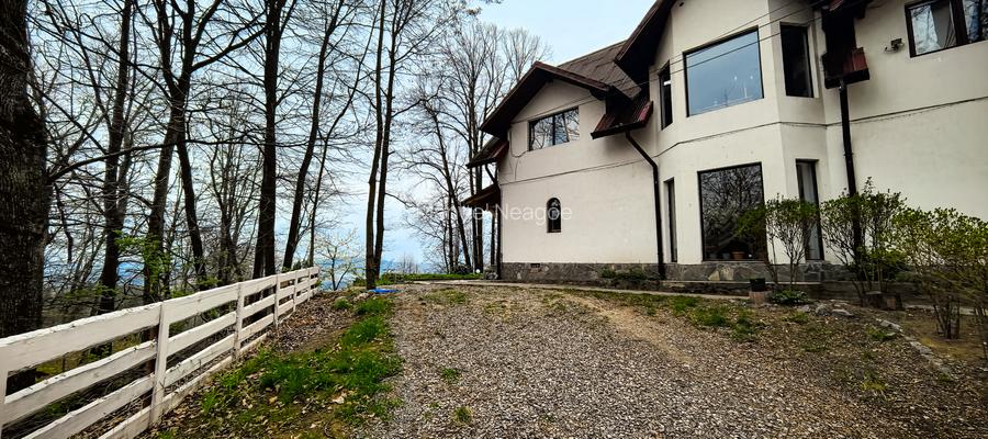 Proprietate Breaza de vis , zona de vis , prezentarea agentului , de vis - 15